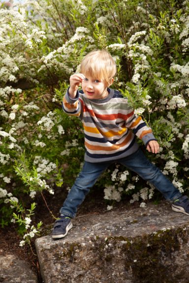 Ein Junge mit gestreiftem Pullover steht auf einem Stein vor blühenden Sträuchern.